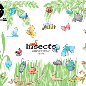 Insects